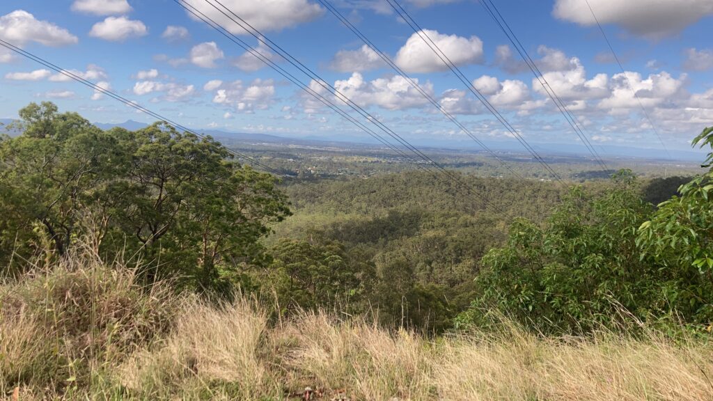 View from Moggill Forest