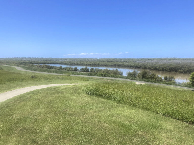 Image of the Wynnum Bird Hide Overview
