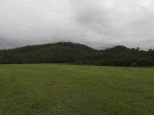 Shelley Road Park Reserve 7