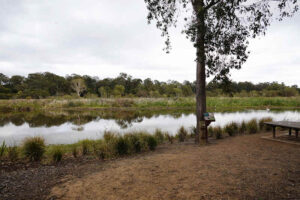 Archerfield Wetland Reserve Main Wetland