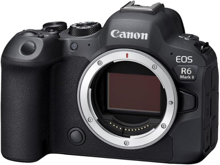 Image of a Canon r6 mark ii