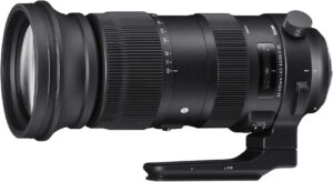 Photo of 60-600mm f22-32 Fixed Zoom F4.5-6.3 DG OS HSM