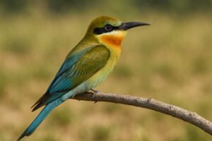 Image of a Blue-tailed Bee-eater in its natural habitat