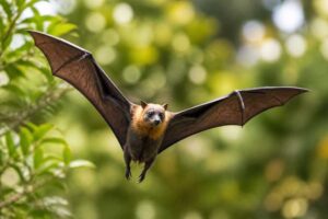 Image of a Happy Tube-nosed Fruit Bat in its natural habitat